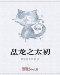 盘龙同人主人公叫太元