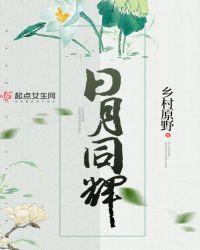 日月同辉怎么获得