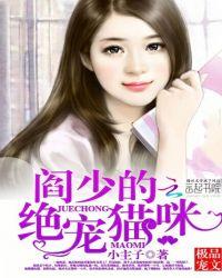 阎少宠妻无节制全章节正版