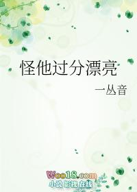 怪他过分漂亮讲的什么