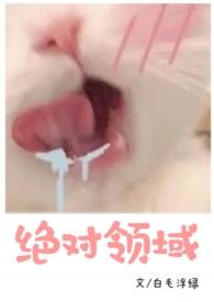 绝对领域是个啥