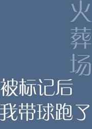 被标记后我带球跑了全文阅读