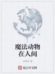 创造与魔法动物之心