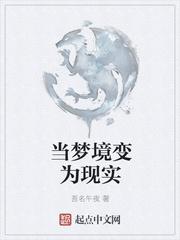 海贼世界用忍术的