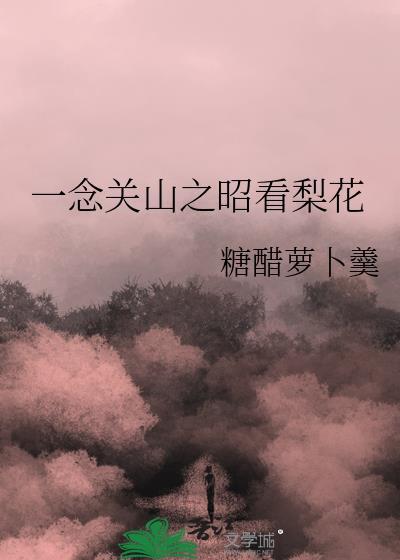 一念关山电视剧完整版免费观看